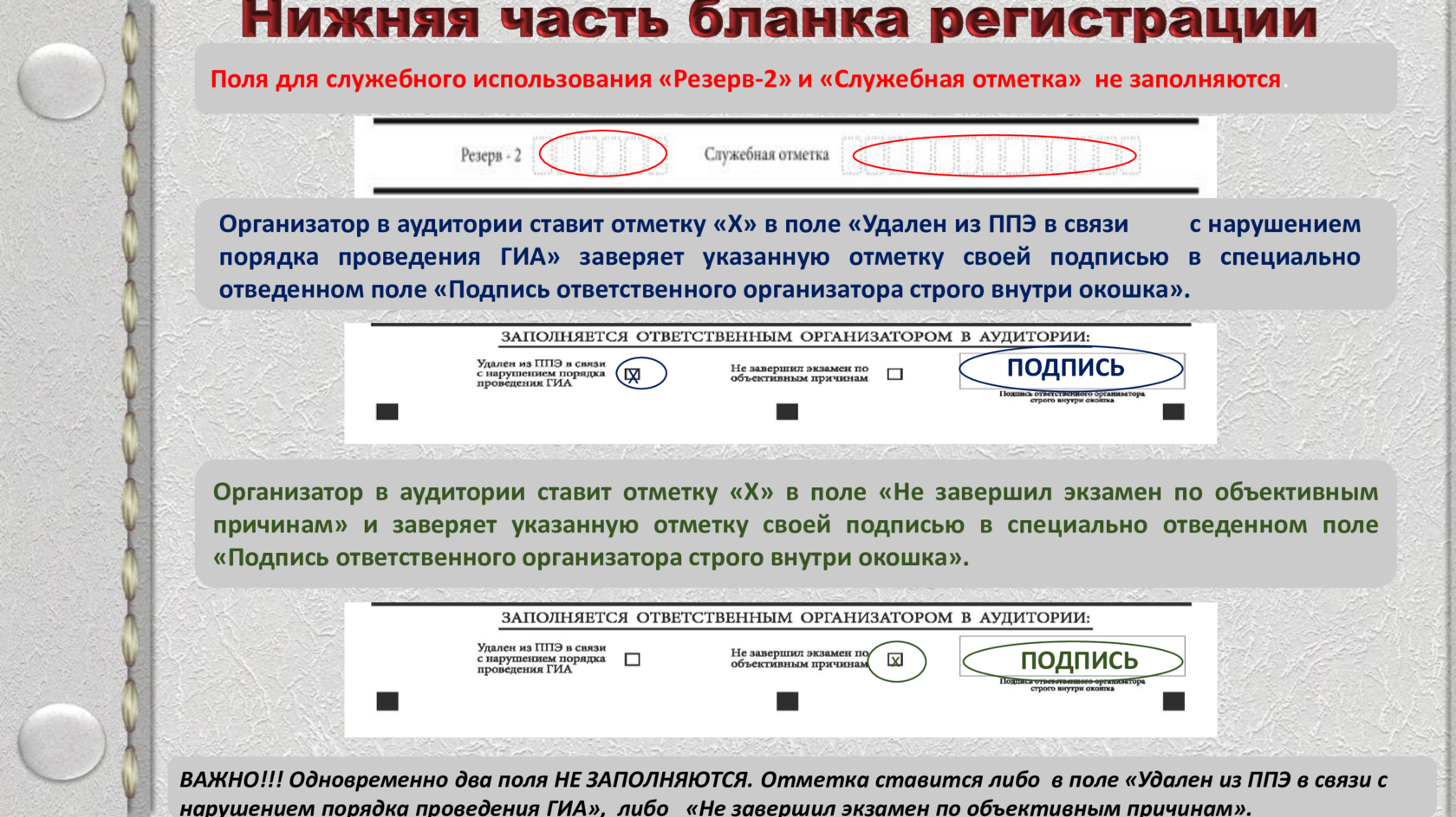 Slide 11