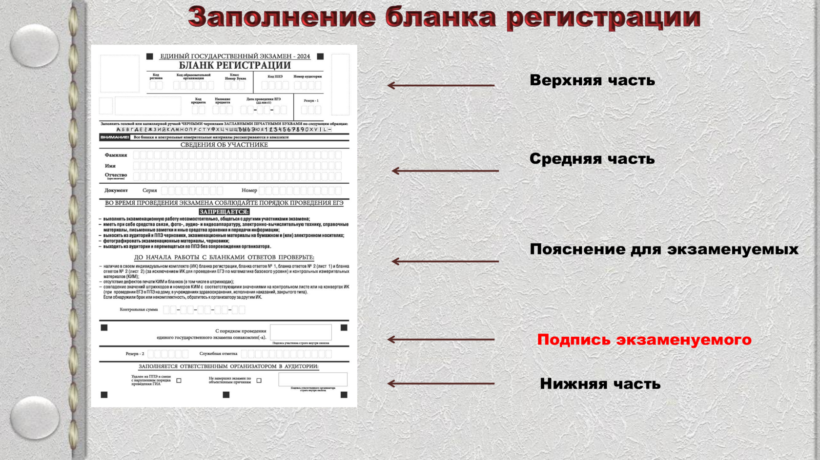 Slide 5