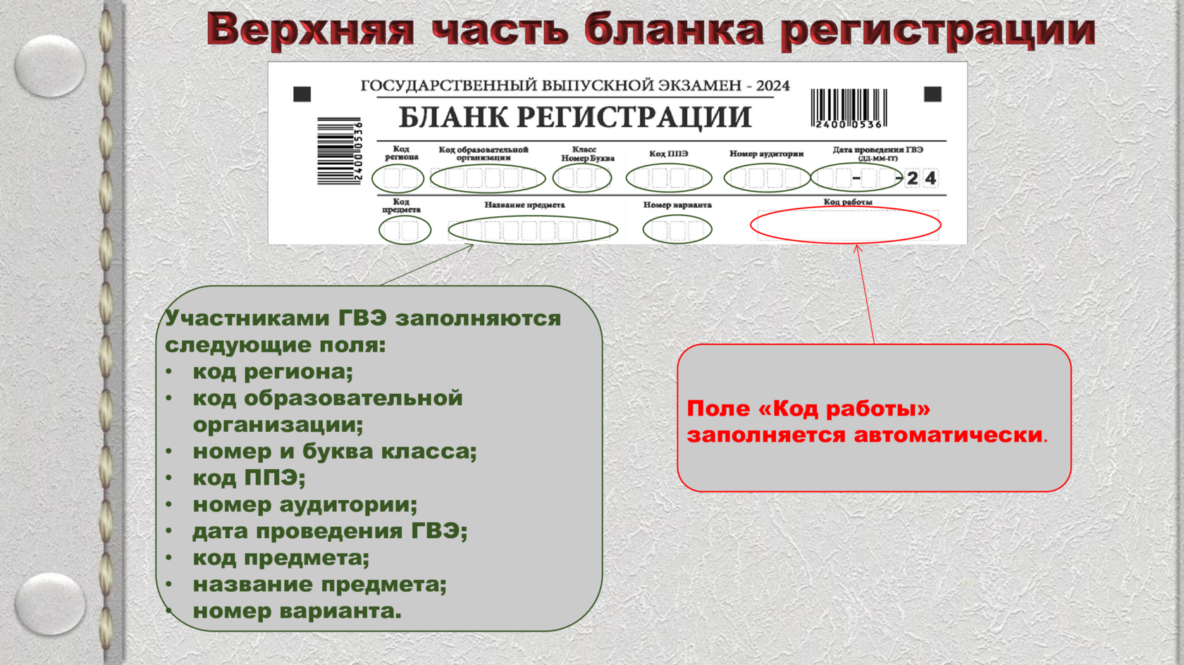 Slide 5