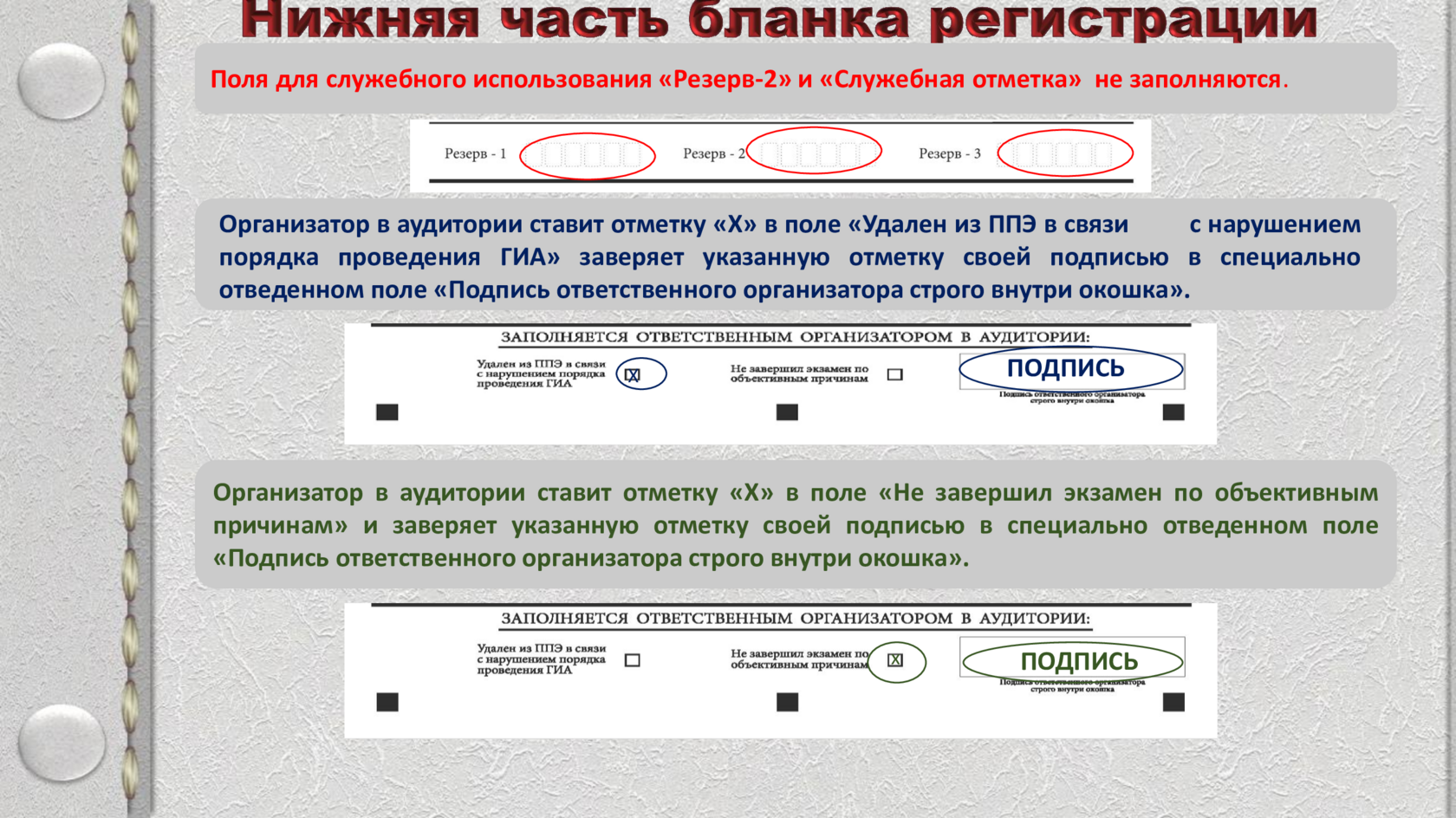 Slide 8